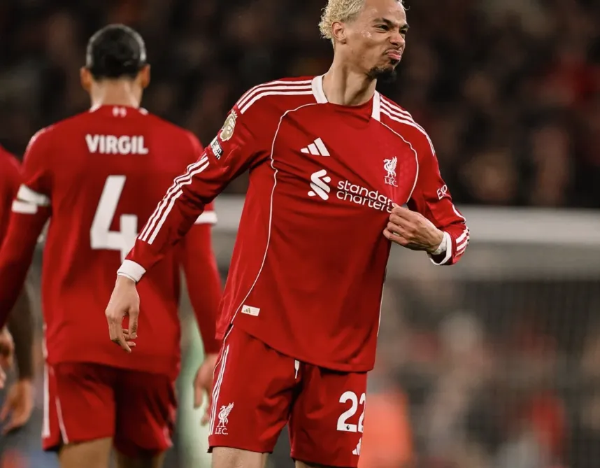 Bafetimbi Gomis: Ready for His Swansea Chance