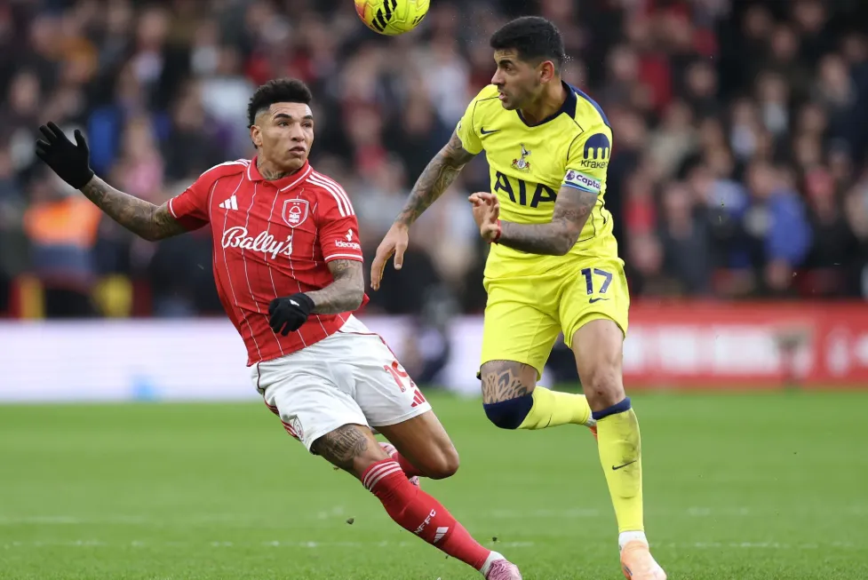 Tottenham's Resurgence: Finding Fight When It Matters Most